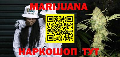 бошки Кингисепп