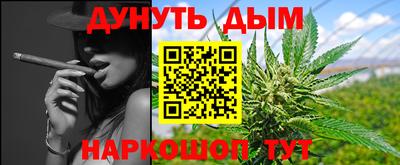 бошки Кингисепп