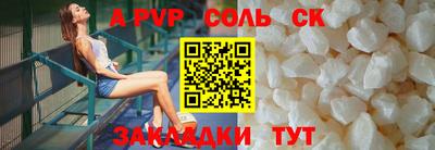 бошки Кингисепп