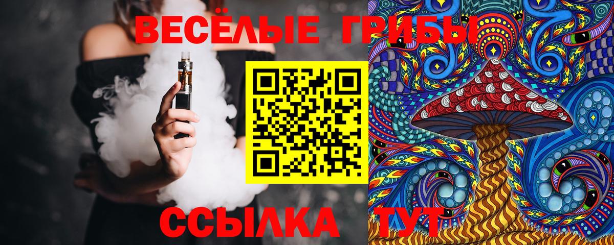 Псилоцибиновые грибы GOLDEN TEACHER Гусиноозёрск