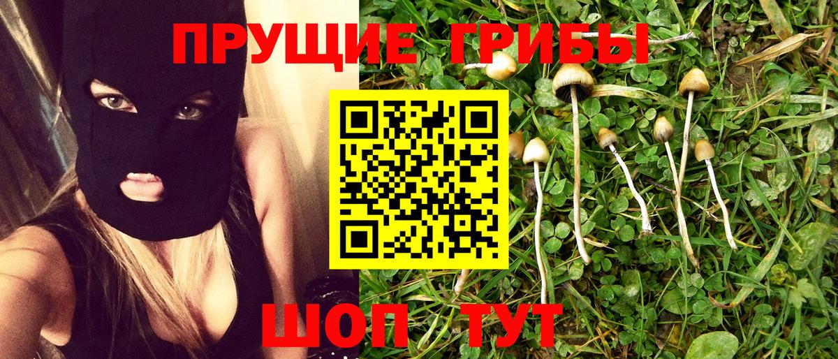 Гусиноозёрск  где можно купить   Псилоцибиновые грибы MAGIC MUSHROOMS  Вход с VPN  Псилоцибиновые грибы GOLDEN TEACHER 